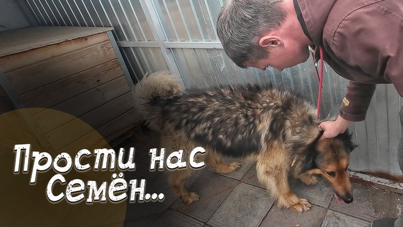 He howled at his owner and didn't want him to leave...