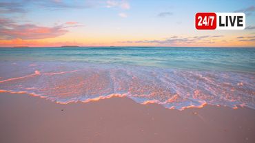 Ocean Ambience 4K (LIVE 24/7). Tropical Beach & Ocean Waves Sounds. Maldives InterContinental