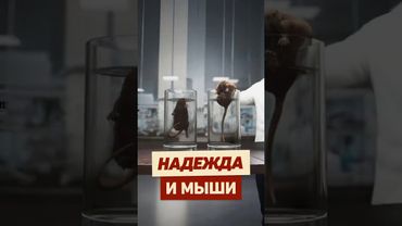 Как ВЕРА спасает жизнь? #интересно #эксперимент #психология #крыса #факты #наука #реддит #апвоут