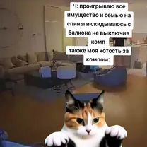 Котость #clashroyale #уфа #mellstroyfan #mellstroy #fyppppppppppppppp...