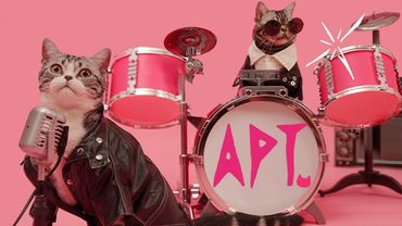 ROSÉ & Bruno Mars - APT. (cover by M&S)