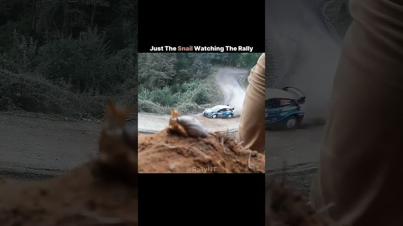 WRC Fans Can’t Believe This Surprise Visitor!