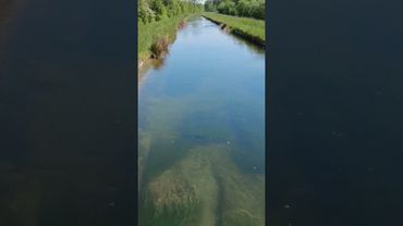 &1техника деконцентрации #саморазвитие