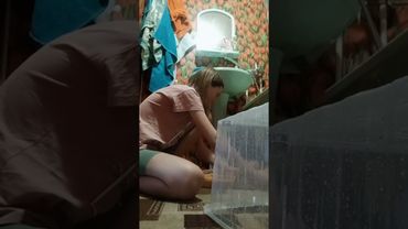 1 часть. переселение улиток 🐌