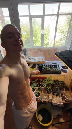 TikTok video #7503470568876838166