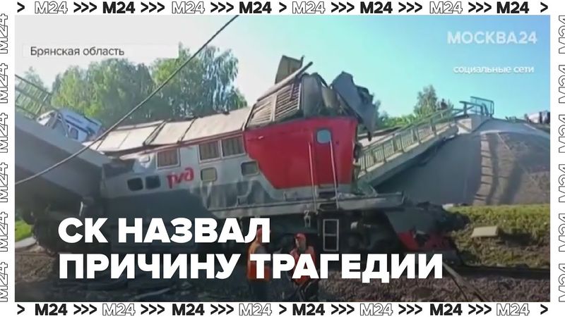 Обрушение моста в Брянской области: СК назвал причину трагедии