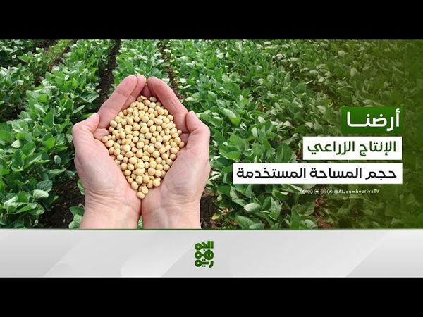 محمد الشرعبي: نحن في اليمن لا نستخدم سوى 2% من إجمالي مساحة الإنتاج الزراعي | أرضنا