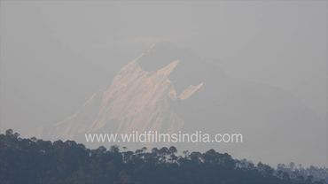 Trishul peak as visible from above Katarmal Sun temple in Kumaon: Hazy summery view