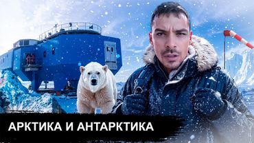 Северный и Южный Полюса. 10 Интересных Фактов