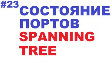 Состояние портов STP 802.1D и Cisco PVST+