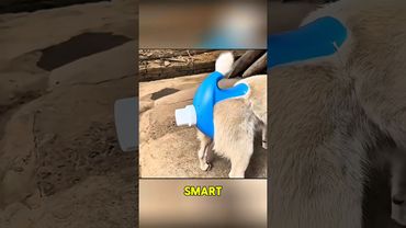 This man is a genius