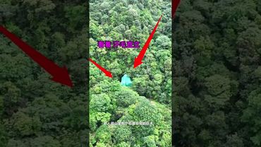 《未解之谜》夜车奇遇，白狐拦路之谜，太神奇了，究竟寓意着什么 #未解之谜 #纪录片 #探索 #正能量 #風水 #怪事 #怪談 #玄学 #科学解释不了的事 #科学尽头是玄学 #相信科学拒绝迷信