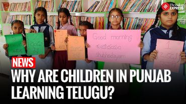 Punjab Teachers Teach Students Telugu. Here's Why | Punjab News
