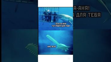 #бабки #смех #анекдот #доктор #мужжена#funny #fun #memes #funnyvideo #funnyshorts #lustigesVideo