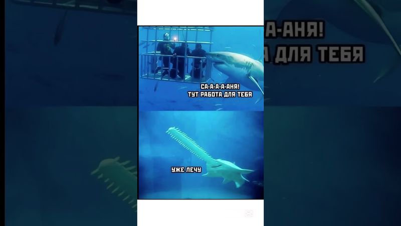 #бабки #смех #анекдот #доктор #мужжена#funny #fun #memes #funnyvideo #funnyshorts #lustigesVideo