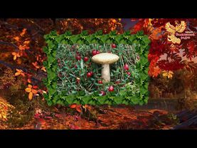 Братья Месяцы.13 сентября - Куприянов день