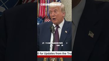 Трамп намерен организовать встречу Путина и Зеленского