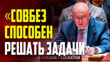 Выступление Небензи в ходе принятия доклада о работе СБ ООН в 2024 году Генеральной Ассамблее ООН