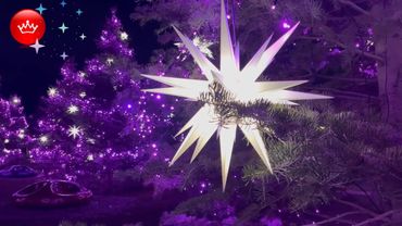 Парк Галицкого Новогодняя Атмосфера праздника 2026