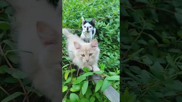 30 августа 2025 г.