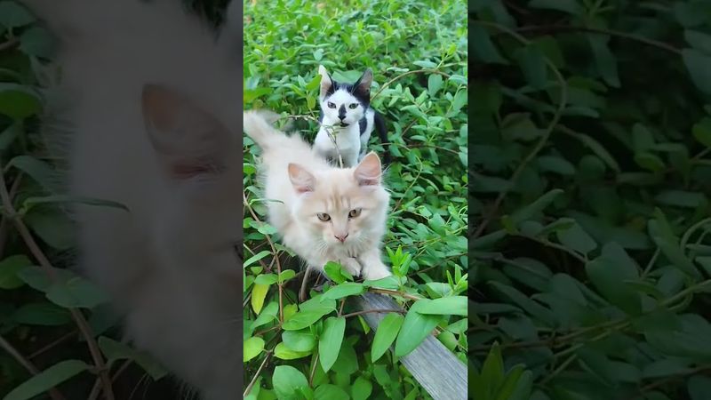 30 августа 2025 г.