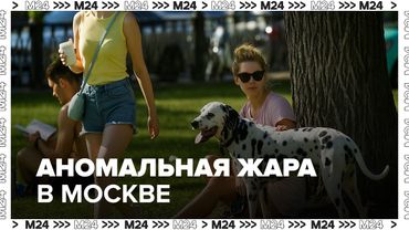 Аномальная жара в Москве: +29°C, высокий УФ и защита животных от солнца