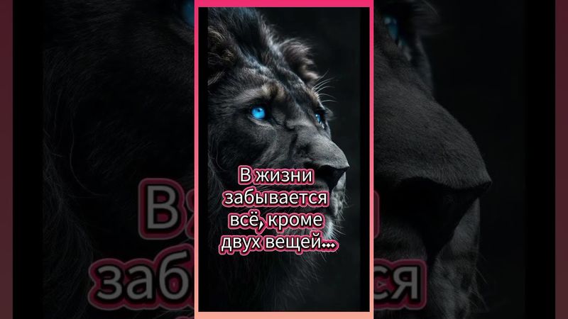 Истина....🤔