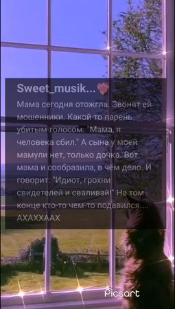 ХАХАХАХ #юмор #смешныеистории #fur #on #for #историитекстом #истории