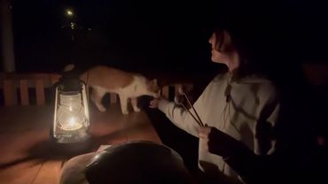 lo-fi ᴀᴄʍᴩ: ʙᴇчᴇᴩняя ʙᴇᴩᴀндᴀ и ᴦᴧюᴋоɸон ☔