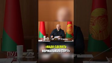 Лукашенко поручил ученым сделать устойчивый к болезням сорт картофеля