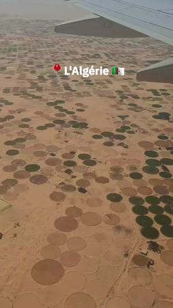 welcome to Algeria 🇩🇿 #thisisalgeria🇩🇿 #nature #travel #musiv #musivw...