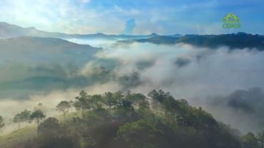 Стихи над миром. Стихотворения Зинаиды Миркиной