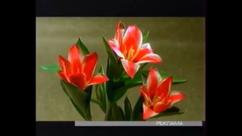 Заставки рекламы (ОРТ, 01.-07.04.2002)