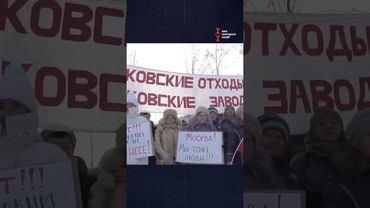 История самого масштабного экологического протеста современной России