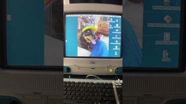 Bondi Blue Imac G3 Connecting To Internet