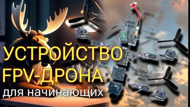 Устройство FPV-дрона для начинающих