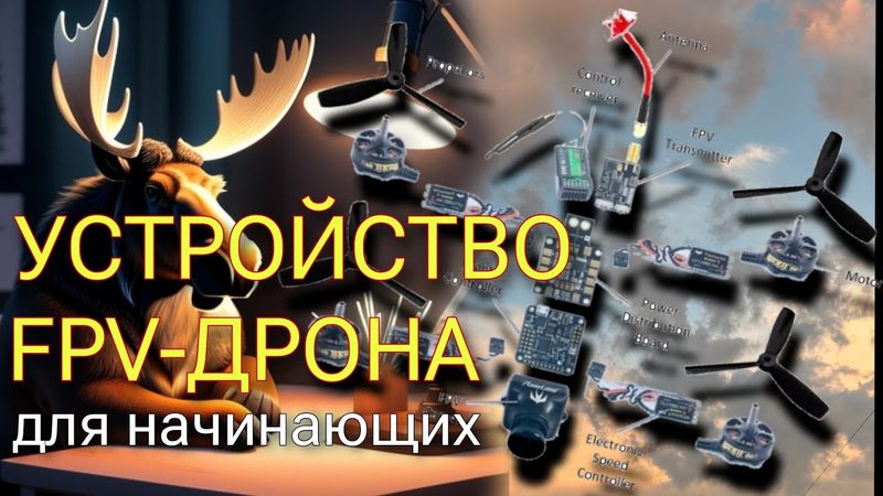 Устройство FPV-дрона для начинающих