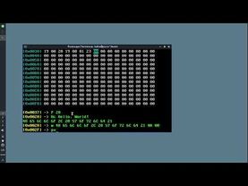 как написать Hello, World! на двоичном коде (GovnBin)