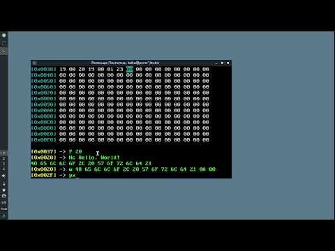 как написать Hello, World! на двоичном коде (GovnBin)