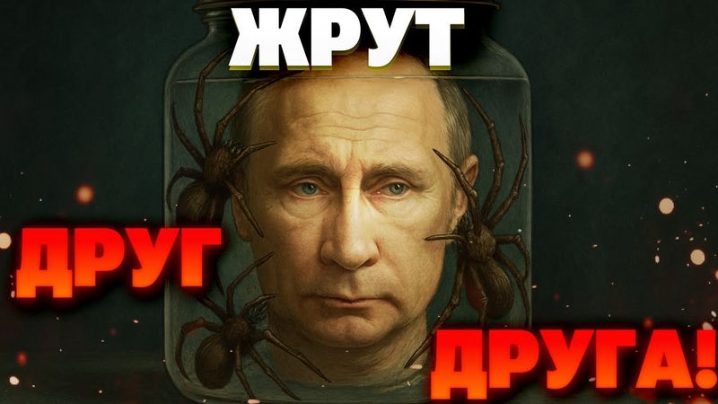 Банка с пауками: как окружение Путина пожирает само себя