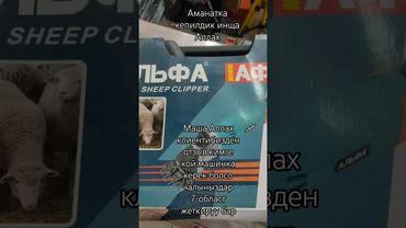 0707-22-35-90 доставка бар 7-область