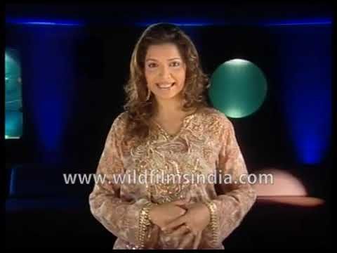 प्रियंका चोपड़ा का अपने पूर्व सचिव प्रकाश जाजू के साथ शीत युद्ध प्रियंका ब्लैकमेल करने का आरोप लगाया