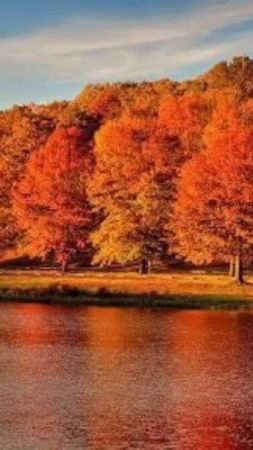 TikTok video #7021273216740101378