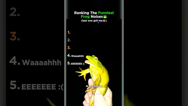 Top 5 Funniest Frog Noises Ranked!