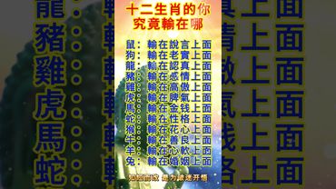 十二生肖的你究竟輸在哪？知道輸在哪，就可以不輸在起跑線上了！#運勢 #生肖 #正能量 #十二生肖 #情感 #補財庫旺財氣 #玄學 #感情 #輸贏 #認知 #國學文化 #道家文化 #傳承文化 #傳統文化