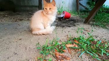 #Славянск. 12 сентября 2025г. Шикарное утро.