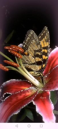 Весёлого доброго утра 😘