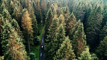 Природа HD Качество \ Короткое Видео