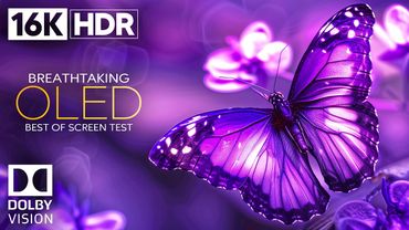 REAL OLED | 16K HDR 120 FPS Dolby Vision Demo (4K / 8K TV)