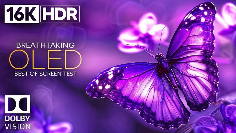 REAL OLED | 16K HDR 120 FPS Dolby Vision Demo (4K / 8K TV)